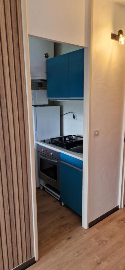 Appartement Saint Lary - Pla D'Adet - Aux Pieds Des Pistes Dış mekan fotoğraf